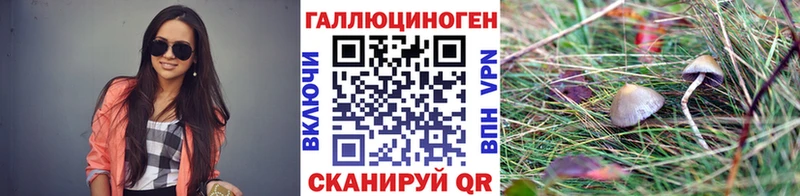 Псилоцибиновые грибы GOLDEN TEACHER  Сураж 